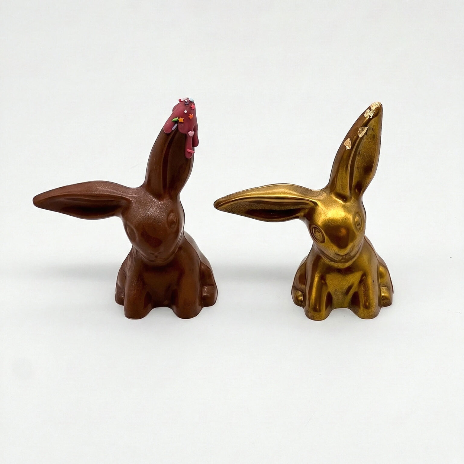 Schlappohren gesamt 1