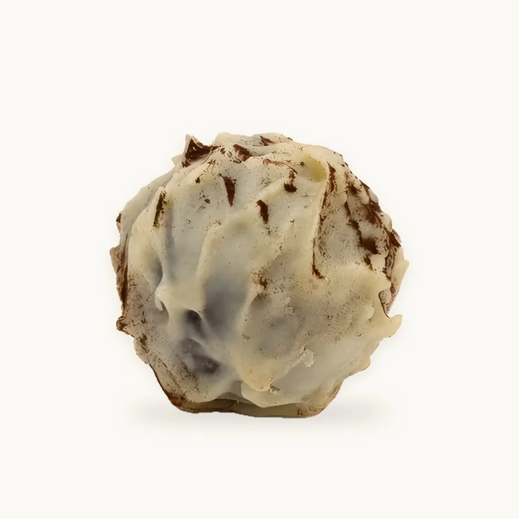Praline Tiramisu