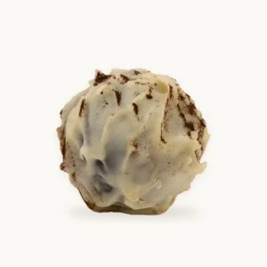 Praline Tiramisu