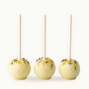cakepops emilys chocolaterie