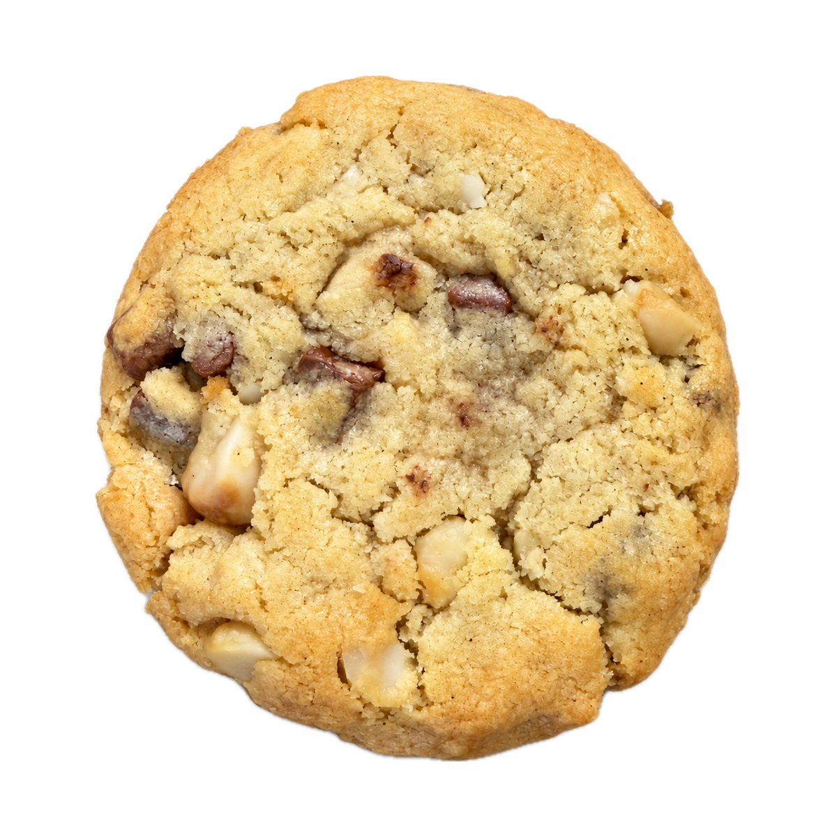 Macadamia Cookie von oben